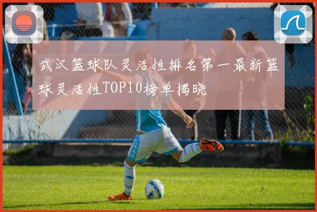 武汉篮球队灵活性排名第一最新篮球灵活性TOP10榜单揭晓