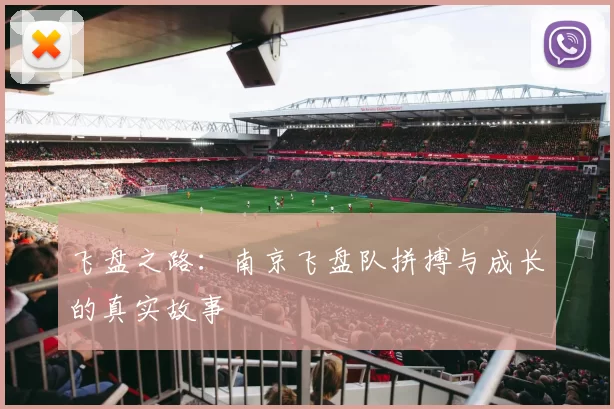 飞盘之路：南京飞盘队拼搏与成长的真实故事