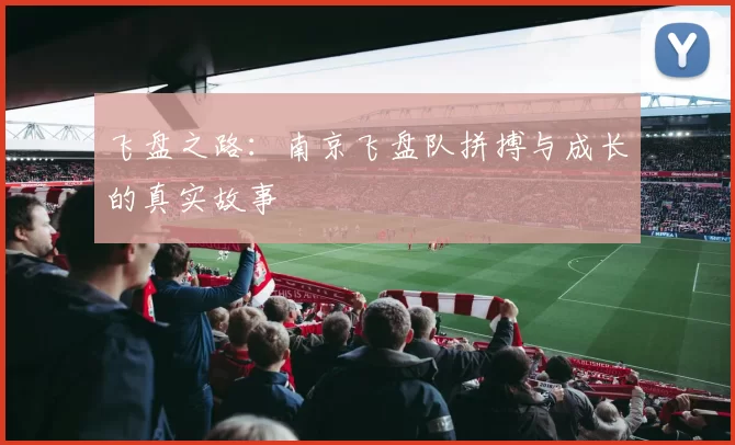 飞盘之路：南京飞盘队拼搏与成长的真实故事