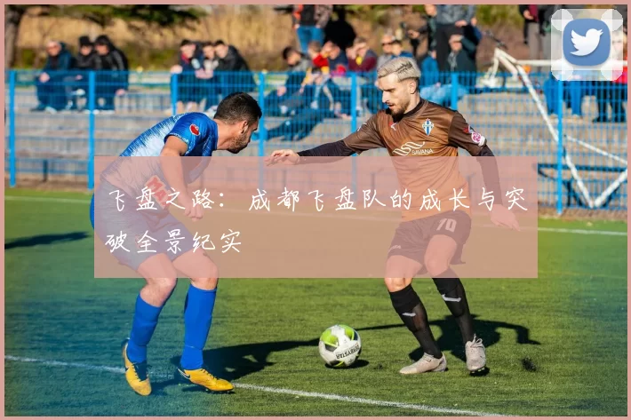 飞盘之路：成都飞盘队的成长与突破全景纪实
