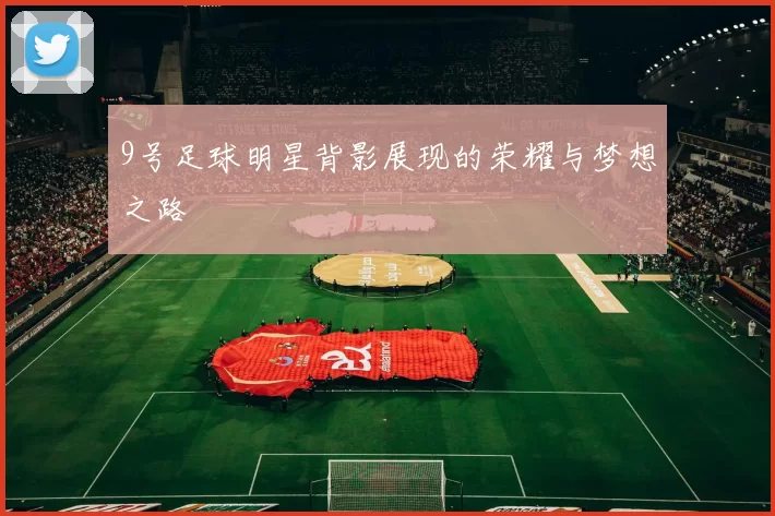 9号足球明星背影展现的荣耀与梦想之路