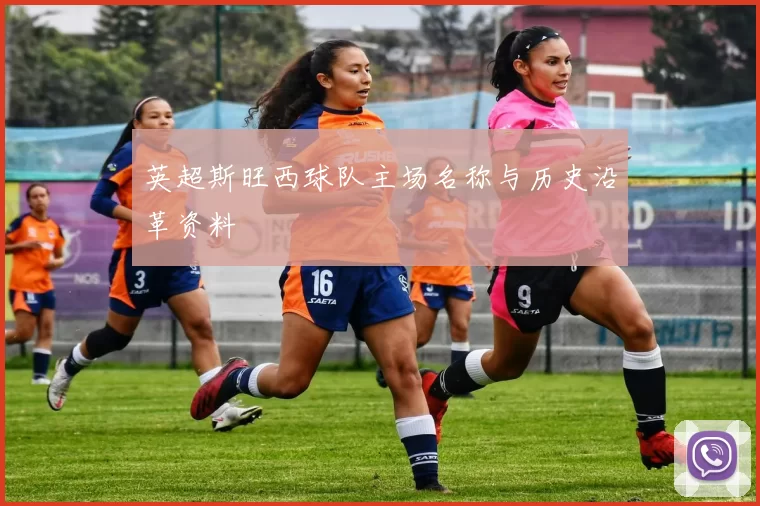 英超斯旺西球队主场名称与历史沿革资料