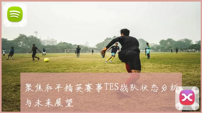 聚焦和平精英赛事TES战队状态分析与未来展望
