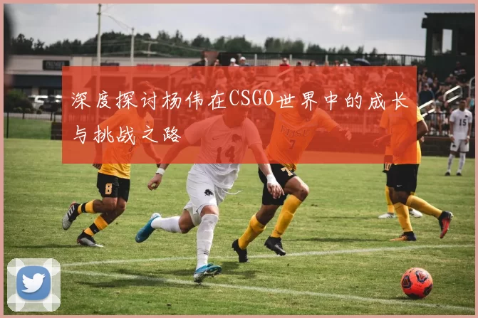 深度探讨杨伟在CSGO世界中的成长与挑战之路