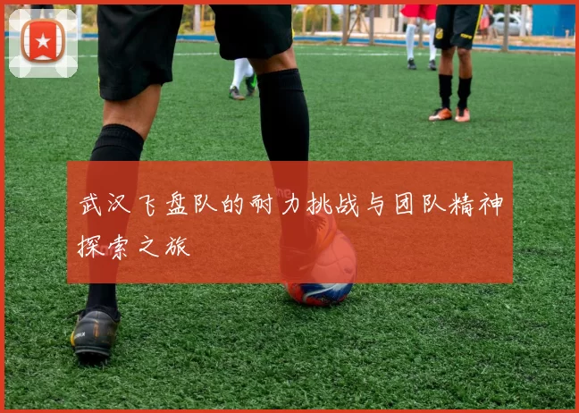 武汉飞盘队的耐力挑战与团队精神探索之旅