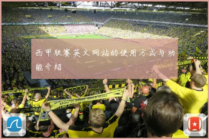 西甲联赛英文网站的使用方式与功能介绍