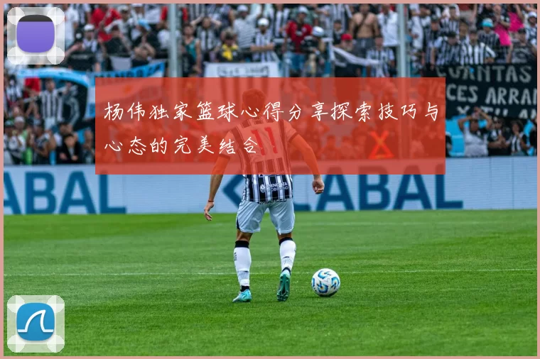 杨伟独家篮球心得分享探索技巧与心态的完美结合