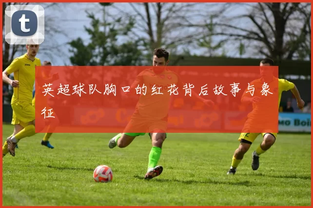 英超球队胸口的红花背后故事与象征