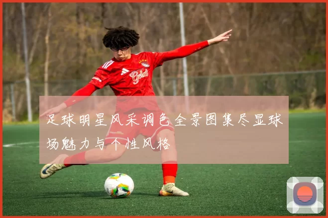 足球明星风采调色全景图集尽显球场魅力与个性风格