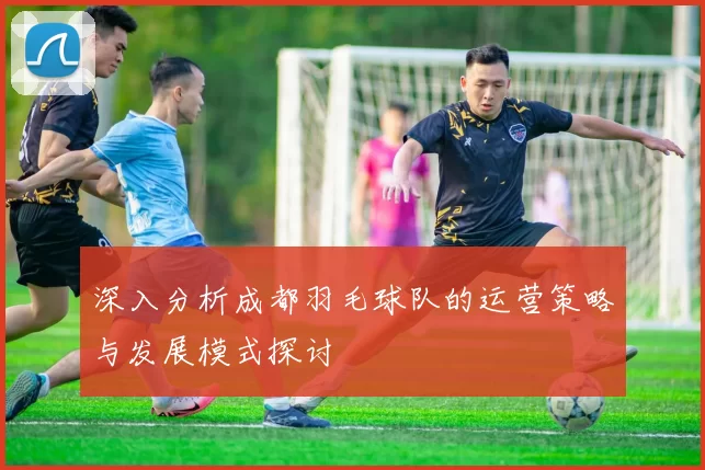 深入分析成都羽毛球队的运营策略与发展模式探讨