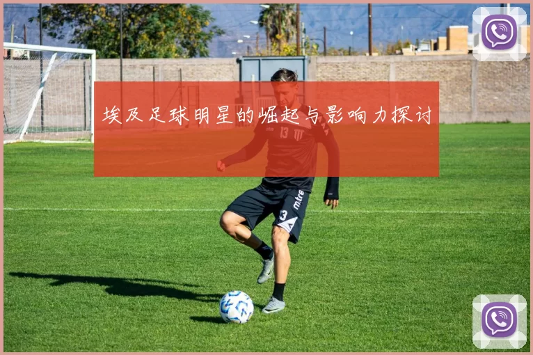 埃及足球明星的崛起与影响力探讨