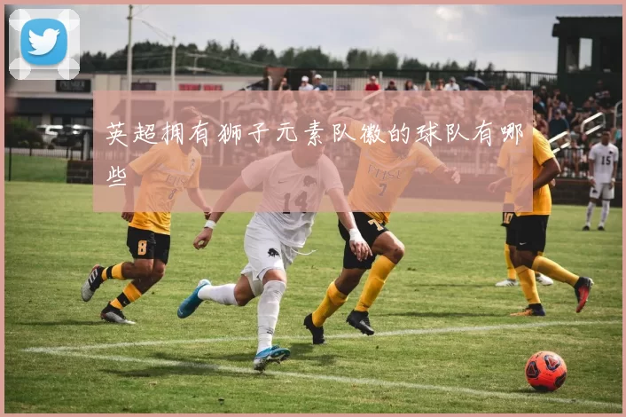英超拥有狮子元素队徽的球队有哪些