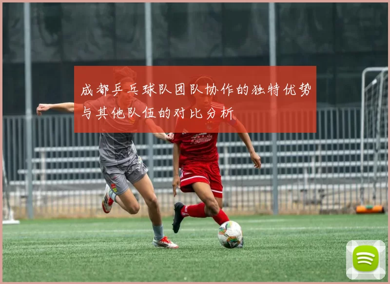 成都乒乓球队团队协作的独特优势与其他队伍的对比分析
