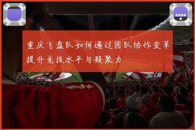 重庆飞盘队如何通过团队协作变革提升竞技水平与凝聚力