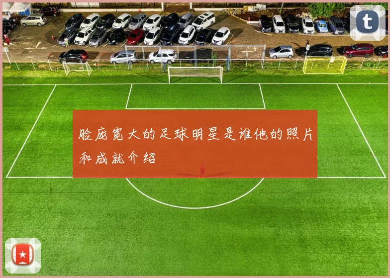 脸庞宽大的足球明星是谁他的照片和成就介绍