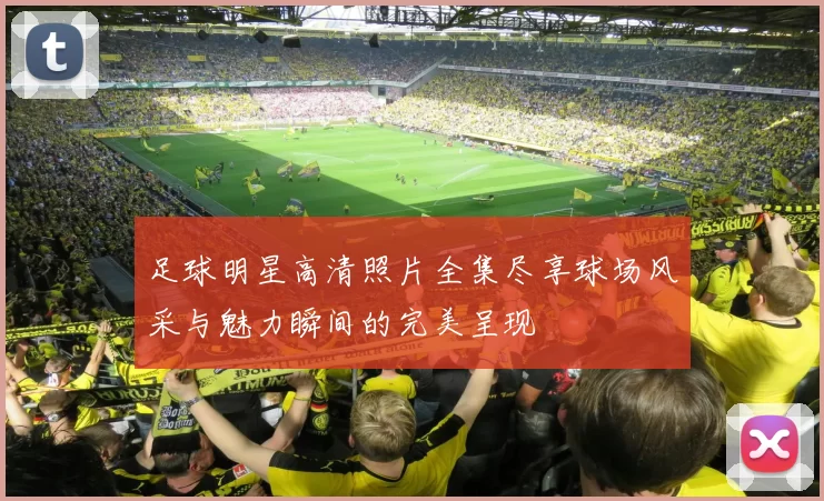 足球明星高清照片全集尽享球场风采与魅力瞬间的完美呈现