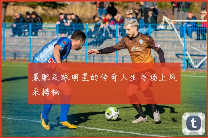 最肥足球明星的传奇人生与场上风采揭秘