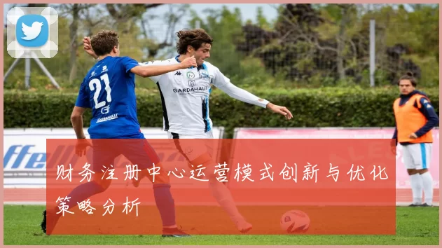 财务注册中心运营模式创新与优化策略分析
